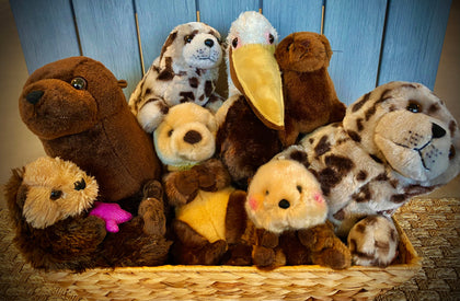 Stuffed Animals